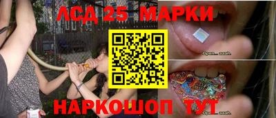 apvp Обь