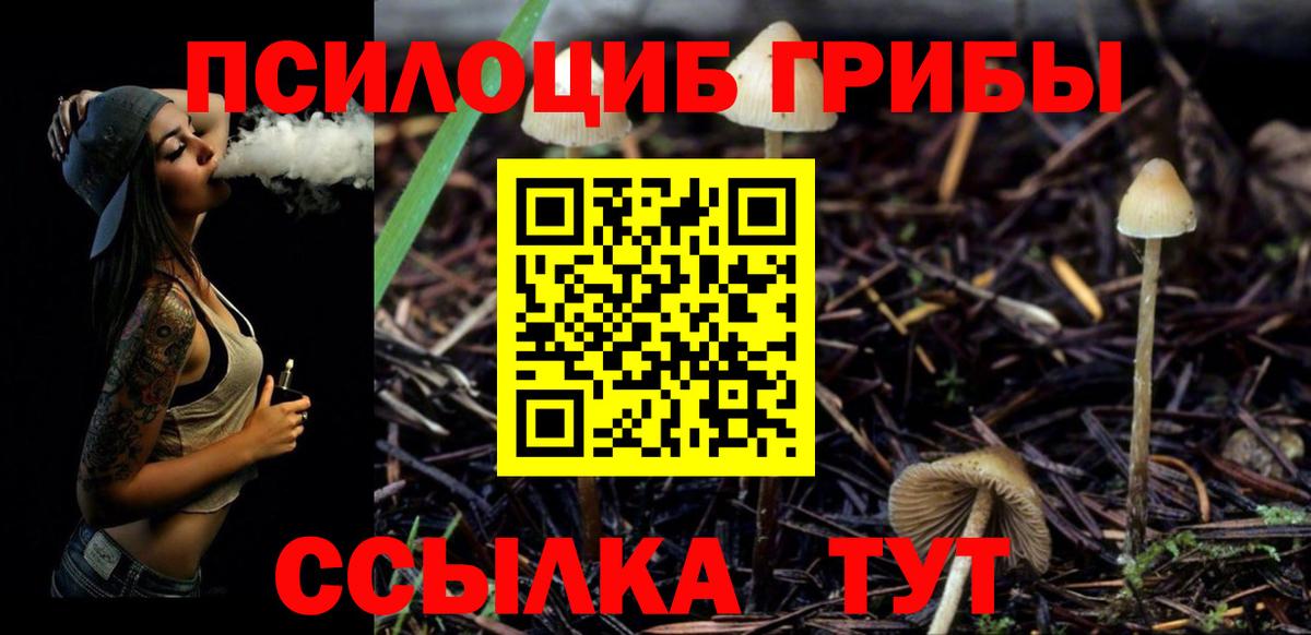 Пугачёв  Псилоцибиновые грибы ЛСД  Вход с VPN 